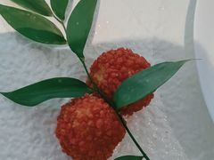 -怡品堂·金宴 (北京索菲特大酒店)