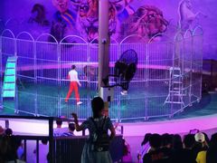 -福州罗源湾海洋世界旅游区