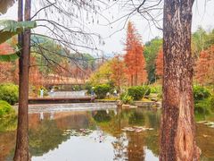 -云溪植物园