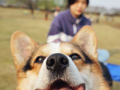 -钟山体育运动公园