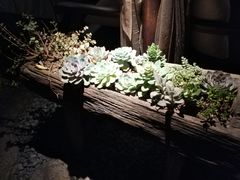 -都氏家DUSJOY(翡翠城店)