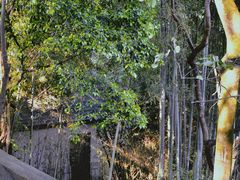-乌山风景区