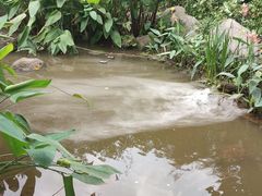 -海南热带野生动植物园
