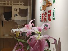 -麻友记·24h自助棋牌(金融科贸店)