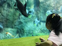 -福州罗源湾海洋世界旅游区