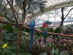 -杭州开元森泊度假乐园