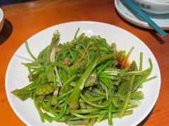 -菌自由丨野生菌火锅特色庭院餐厅(丽江古城店)