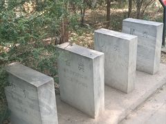 -北京麋鹿生态实验中心