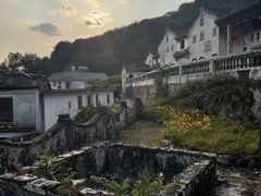 -雁南飞茶田景区