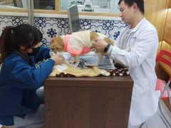 -可蒙动物医院·猫科·骨科中心(首义路店)