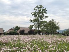 -良渚古城遗址公园