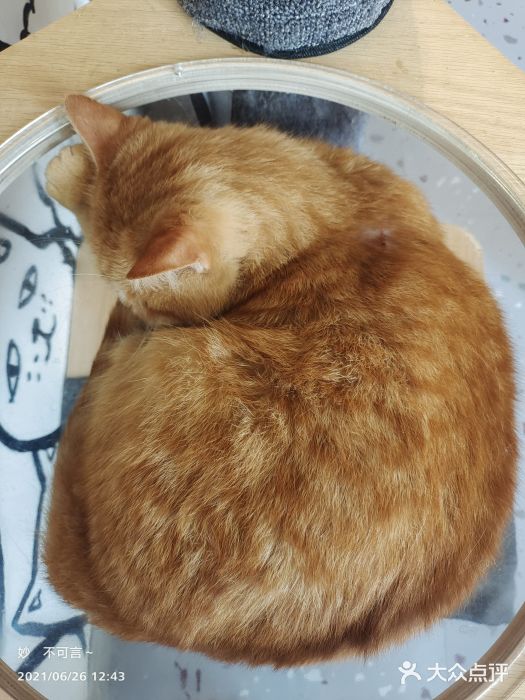 喵匠猫主题咖啡(凯德和平广场店)图片