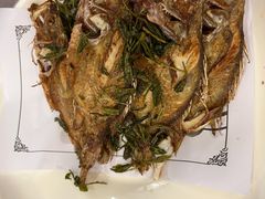 -九华山聚龙大酒店