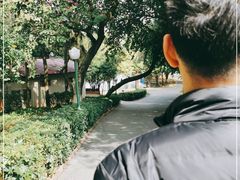-三水森林公园