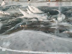 -长春市南湖公园