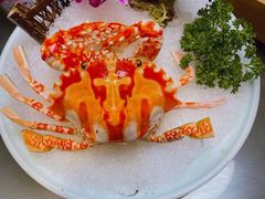 -金龙·打边炉(南京西路店)