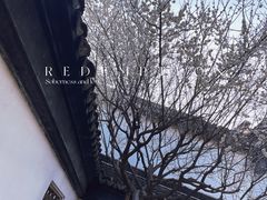 -南翔古镇