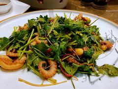 香菜拌鱿鱼须-富黎华海鲜大酒楼(正大广场店)