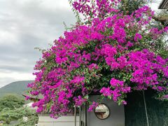 -和顺古镇