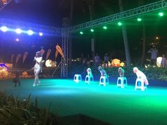 -渔家火锅·海鲜自助餐·演艺(亚龙湾天域酒店)