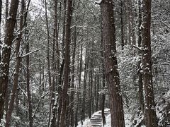 -剑门关风景区