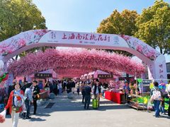 -南汇桃花村