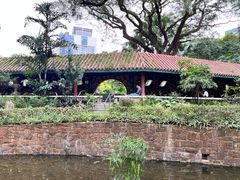 -九龙公园