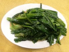 -鸿达渔港