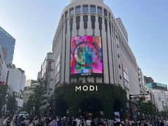 -涩谷区