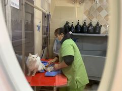 -芭比堂动物医院·犬猫全科·异宠专科(雁塔分院)