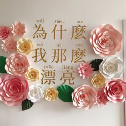-Lab Season惜辰颜究社