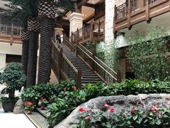 -太湖饭店玉兰厅(自助餐厅)