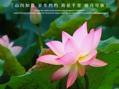 -荔湾湖公园