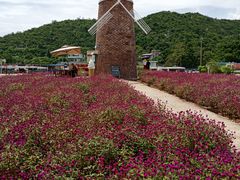-玫瑰海岸文化旅游度假区