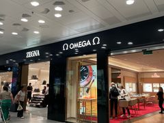 -米兰-马尔彭萨机场