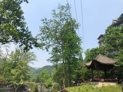 -四川省成都市彭州市白鹿镇