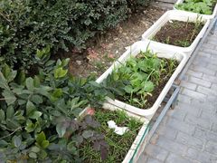 -随柳居·苏式小吃(建新巷店)