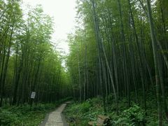android_upload_pic-南山风景名胜区