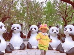 -西安秦岭野生动物园