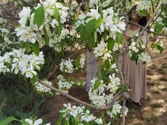 -元大都城垣遗址公园