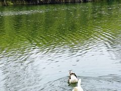 -西安汉城湖景区