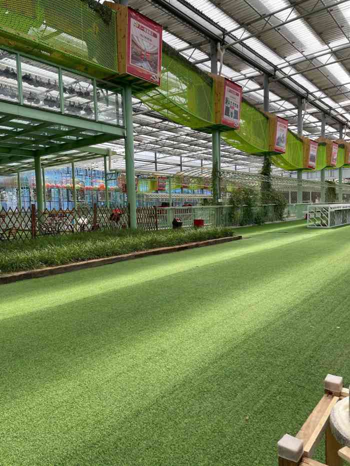 绿得金生态园-"一般,菜品还不错,孩子喜欢在这里玩,还可.