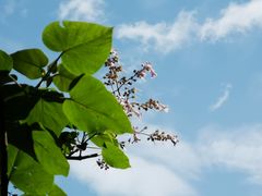 -麦当劳(贵和购物中心B1店)