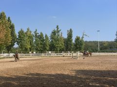 -北京群众马术培训基地