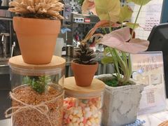 -恋暖初茶(万菱汇店)