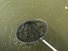 -酷鱼垂钓CLUB(朝阳区博大路店 )