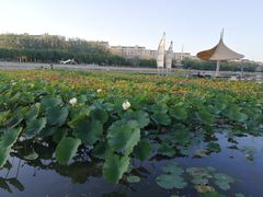 -党河风情线国家水利风景区
