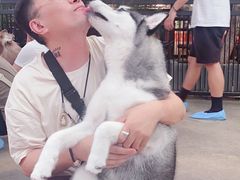 -TrueLove @ Neverland (Husky Cafe)