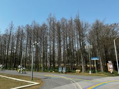 -上海长兴岛郊野公园