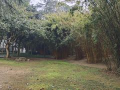 -三星堆博物馆
